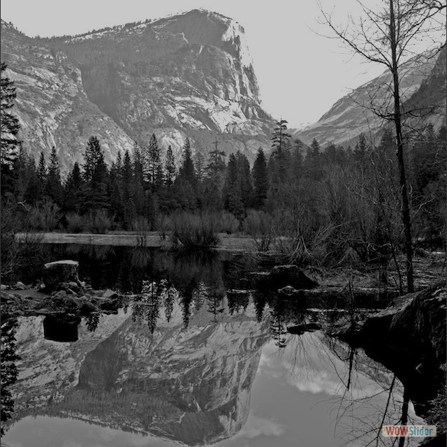 Yosmite-b&w-1