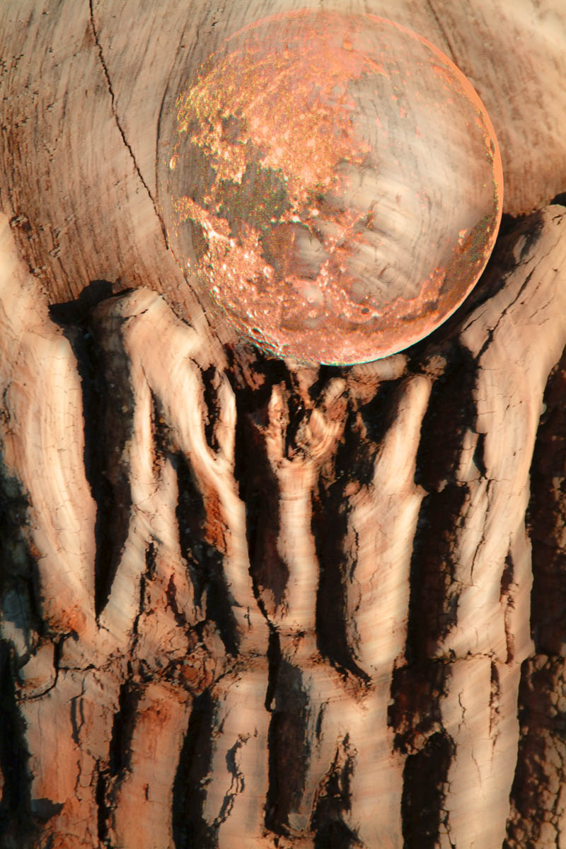 Wooden Skeleton