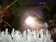 Melanie Heinrich - Travel Images - Caribbean