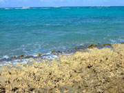 Melanie Heinrich - Travel Images - Caribbean