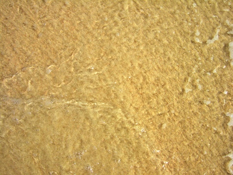 Melanie Heinrich - Travel Images - Barbuda