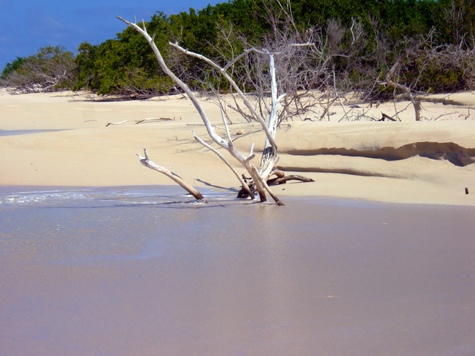 Melanie Heinrich - Travel Images - Barbuda