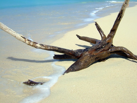 Melanie Heinrich - Travel Images - Barbuda