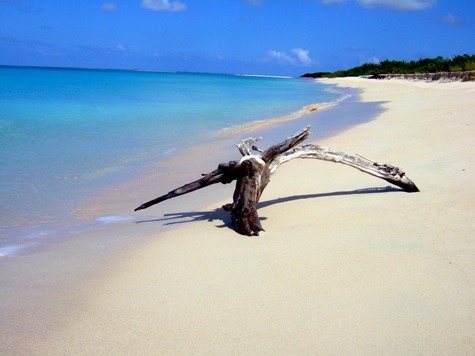 Melanie Heinrich - Travel Images - Barbuda
