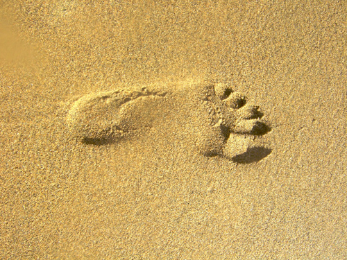 Melanie Heinrich - Travel Images - Nevis