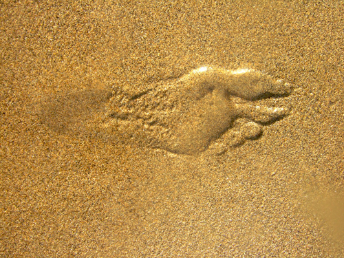 Melanie Heinrich - Travel Images - Nevis