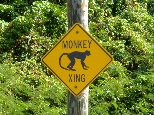 Melanie Heinrich - Travel Images - Nevis