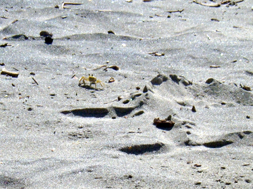 Melanie Heinrich - Travel Images - Nevis