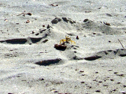 Melanie Heinrich - Travel Images - Nevis