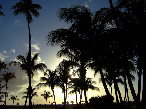 Melanie Heinrich - Travel Images - Nevis