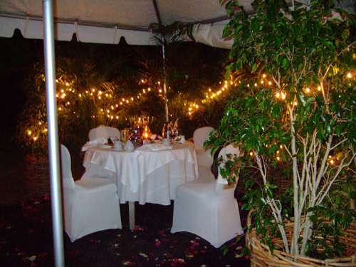 Melanie Heinrich - Travel Images - Nevis