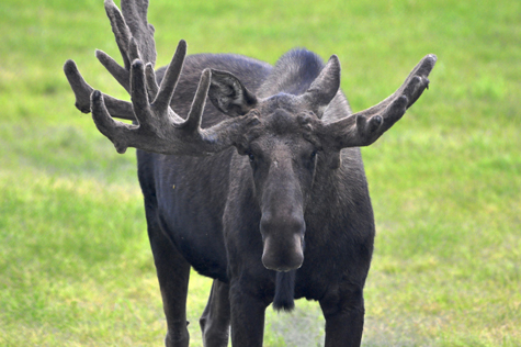 Melanie Heinrich Photographer