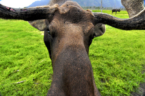 Melanie Heinrich Images