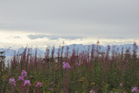 Melanie Heinrich Images