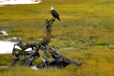 Melanie Heinrich Images