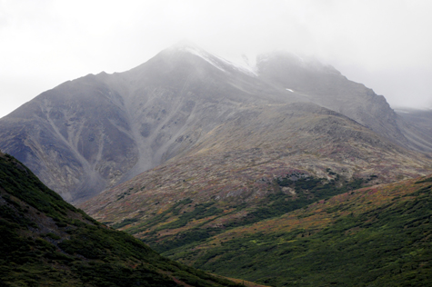 Melanie Heinrich Images