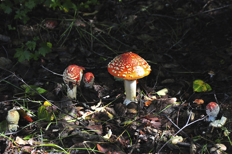 Melanie Heinrich Images - Alaska