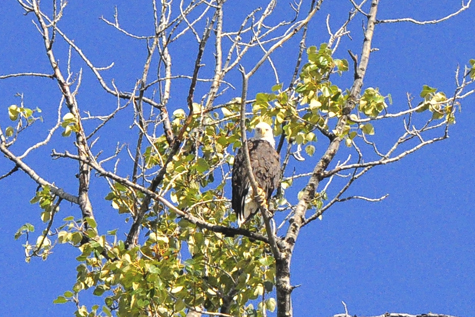 Melanie Heinrich Images - Alaska