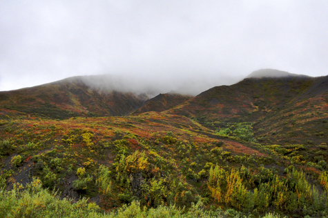 Melanie Heinrich Images - Alaska - Denali