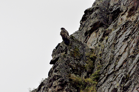 Melanie Heinrich Images - Alaska - Denali