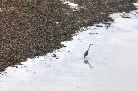 Melanie Heinrich Images - Alaska