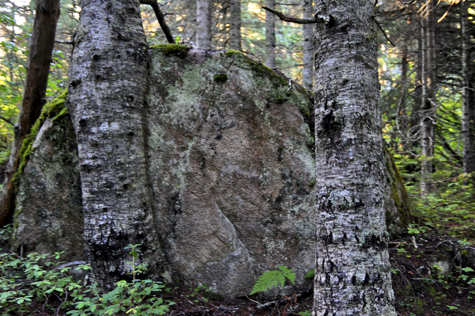 Melanie Heinrich Images - Alaska