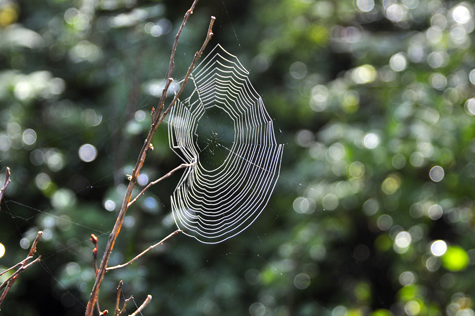 Melanie Heinrich Images - Alaska