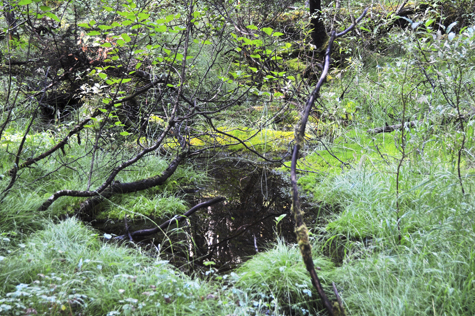 Melanie Heinrich Images - Alaska