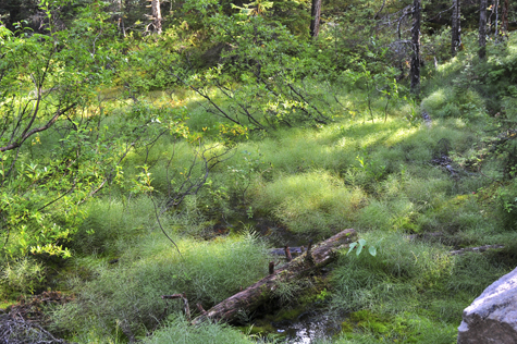 Melanie Heinrich Images - Alaska