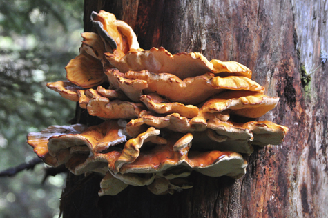 Melanie Heinrich Images - Alaska