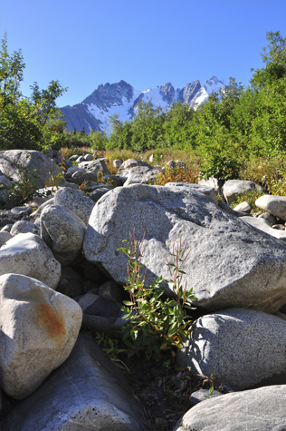 Melanie Heinrich Images - Alaska