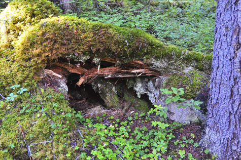 Melanie Heinrich Images - Alaska