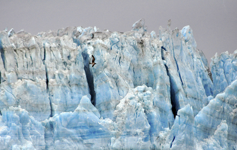 Melanie Heinrich Images - Alaska