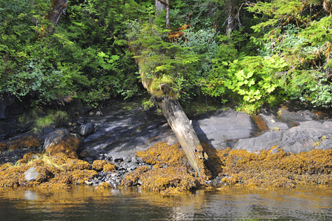 Melanie Heinrich Images - Alaska