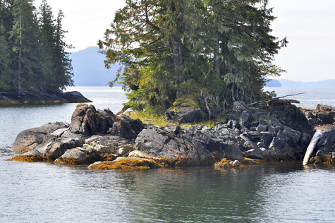 Melanie Heinrich Images - Alaska